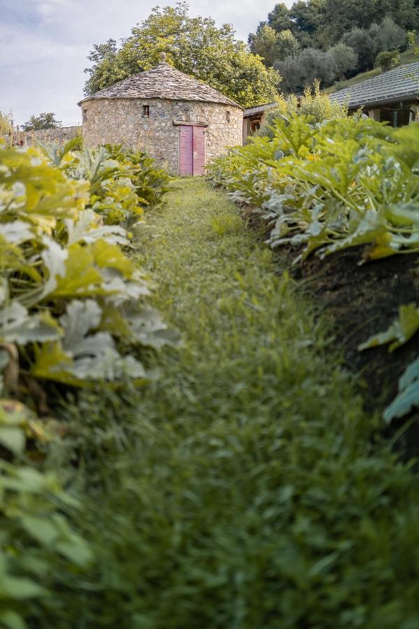 ベッラージョ Agriturismo La Dertaヴィラ エクステリア 写真