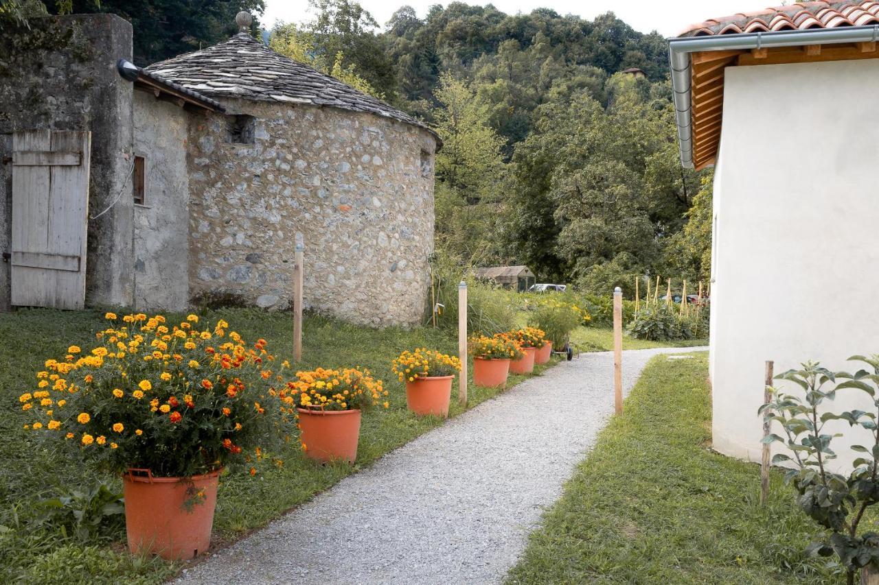 ベッラージョ Agriturismo La Dertaヴィラ エクステリア 写真